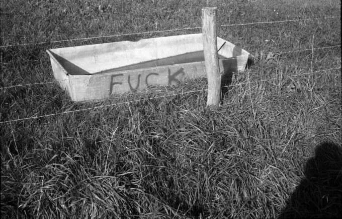 Viehtränke, Ostbelgien 1995