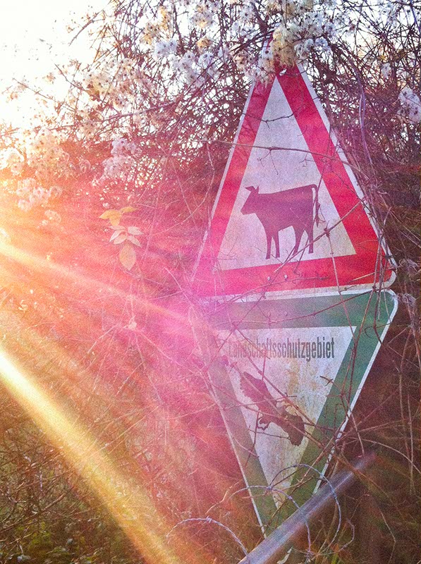 Landschaftsschutzgebiet 