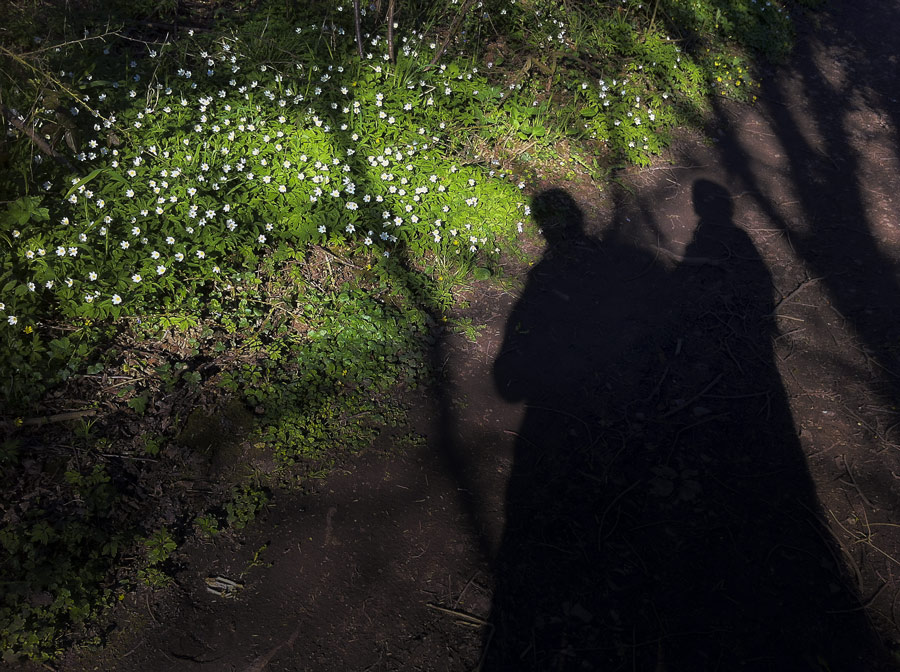 Wir sehen Schatten ...