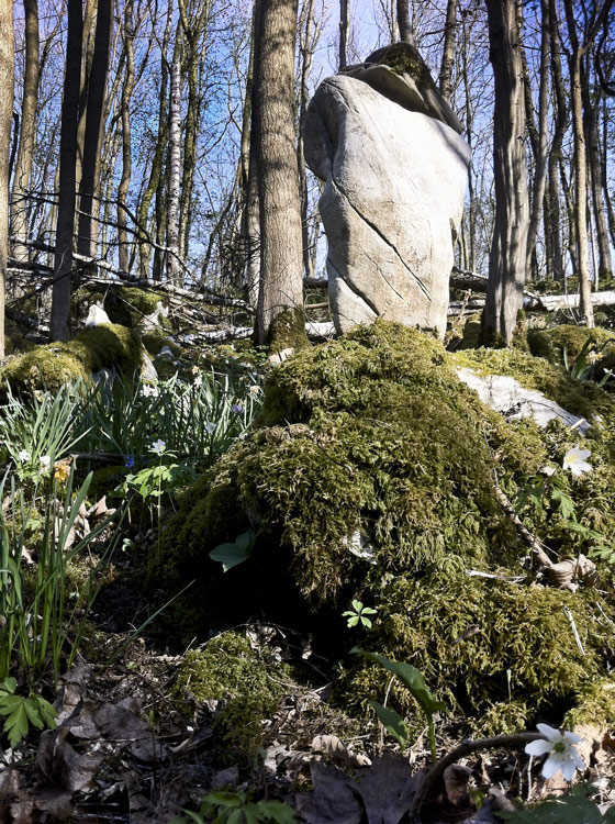 LandArt im Narzissental
