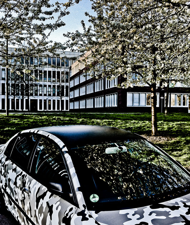 Blüten am Landgericht