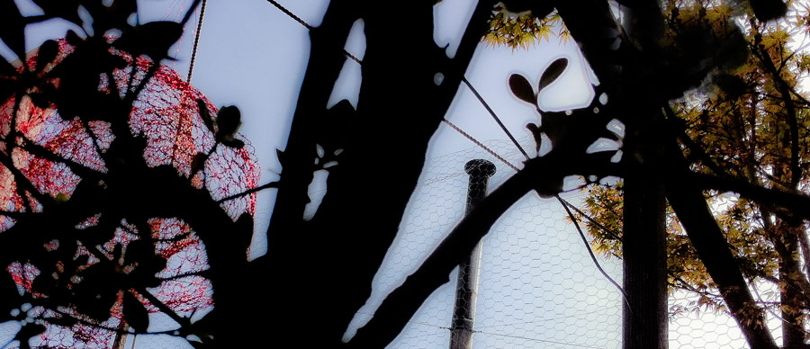 Something beautiful 3