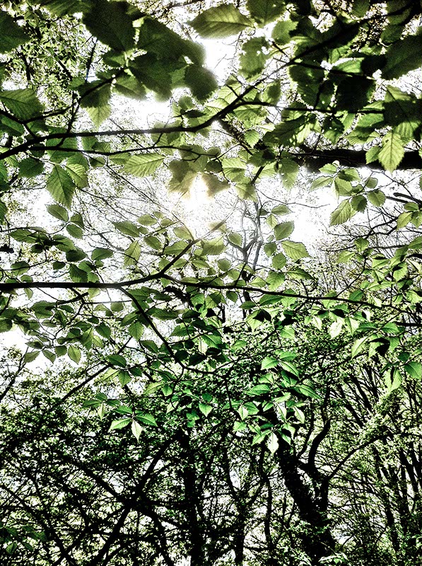 Sonnenstand