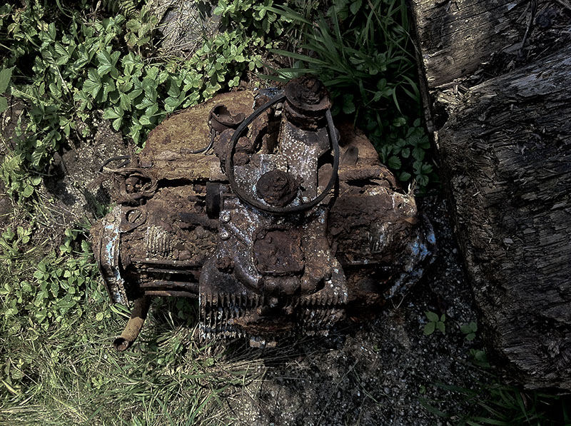 Weserboxer