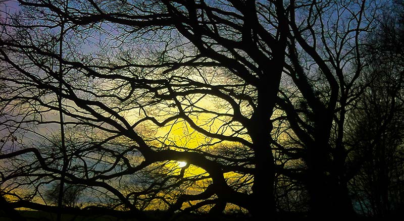 Wintersonne