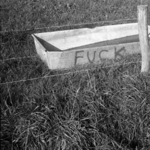 Viehtränke, Ostbelgien 1995