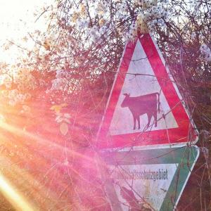 Landschaftsschutzgebiet 