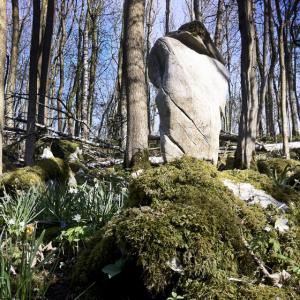 LandArt im Narzissental