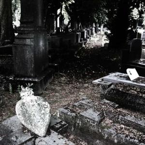 Friedhof in Lüttich